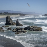 Oregon Coast-0468