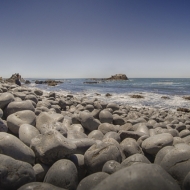 Oregon Coast--2