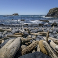 Oregon Coast--3