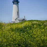 Oregon Coast--8