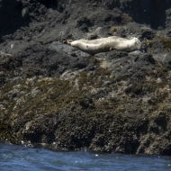 Oregon Coast-8636