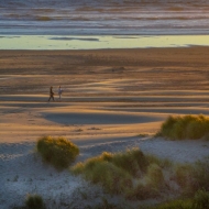 Oregon Coast-9526