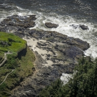 Oregon Coast-9729