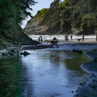 Oregon Coast-9975