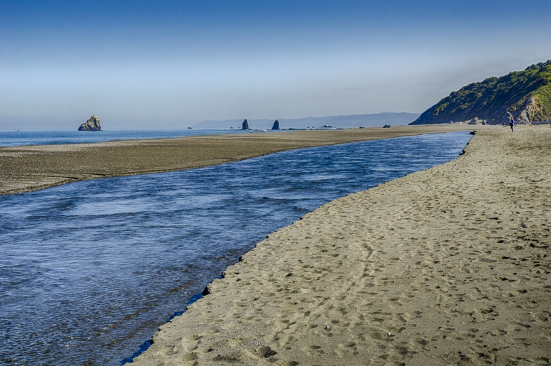 Oregon Coast--77