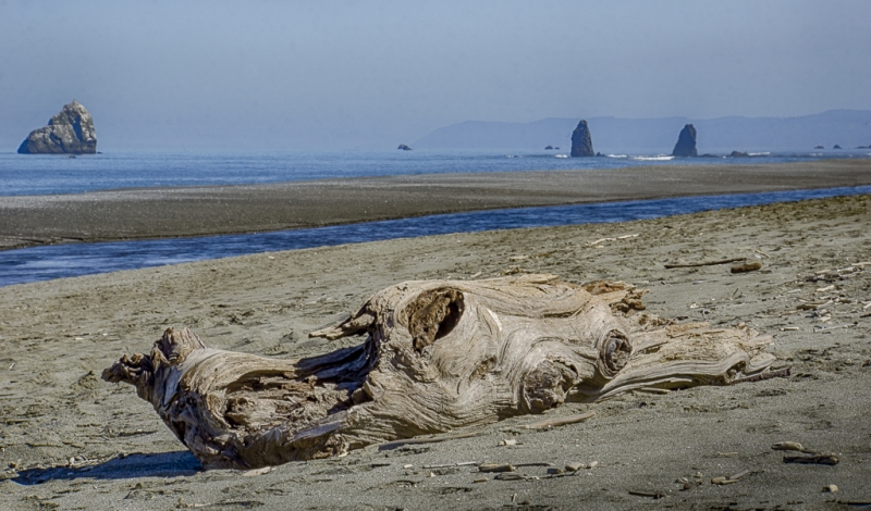 Oregon Coast--78