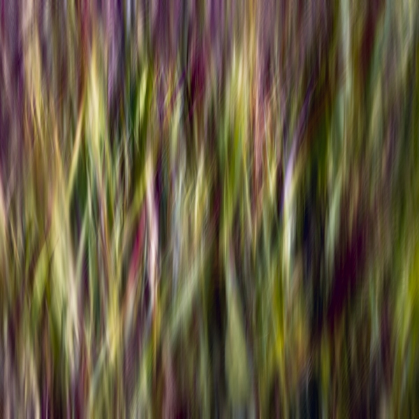 Navy Yard Colorful Grasses