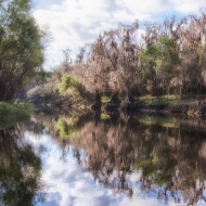 florida-2168_hdr-edit