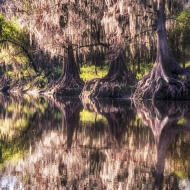 florida-2177_hdr-edit