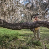 florida-2251_hdr