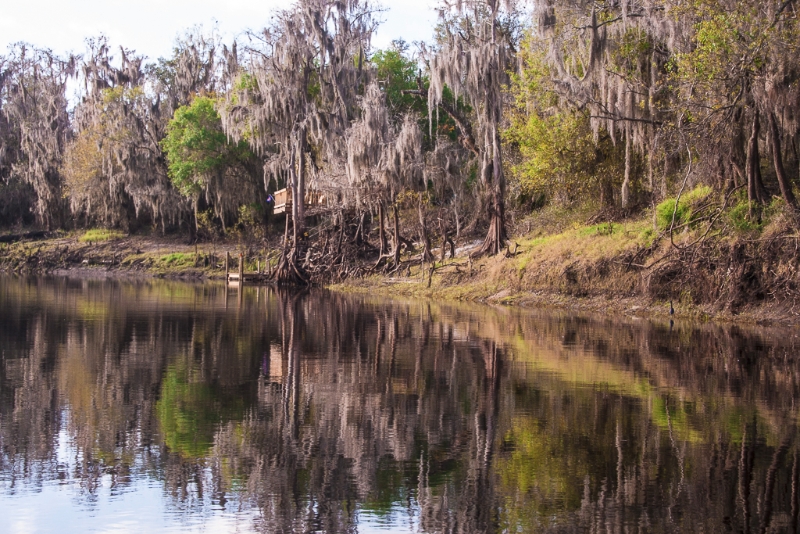 florida-2157