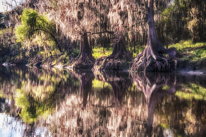 florida-2177_hdr-edit