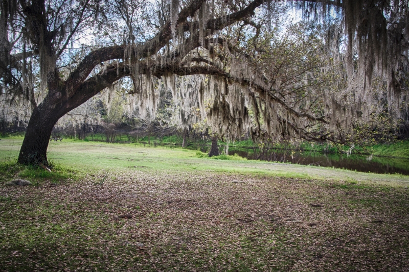 florida-2239_hdr