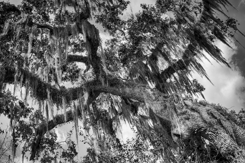 florida-2245_hdr-2
