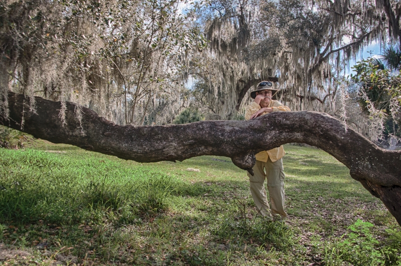 florida-2251_hdr