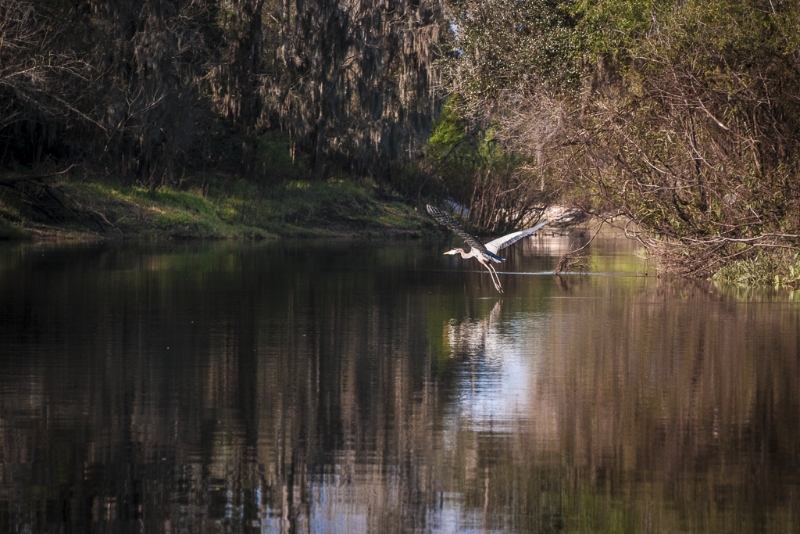 florida-2292-edit