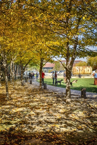 Navy-Yard-9183_HDR