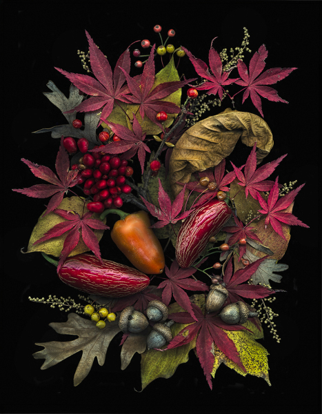 Autumn-Bounty-14x18_