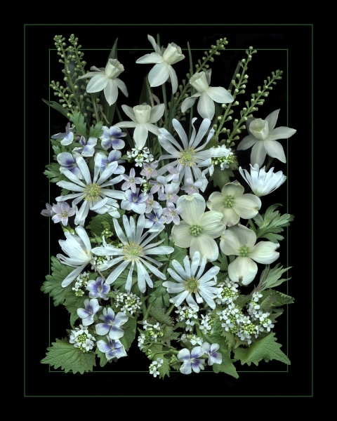 spring-white-flower-arrangement-with-border