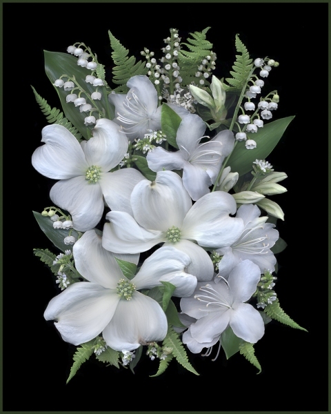 white-flowers-2