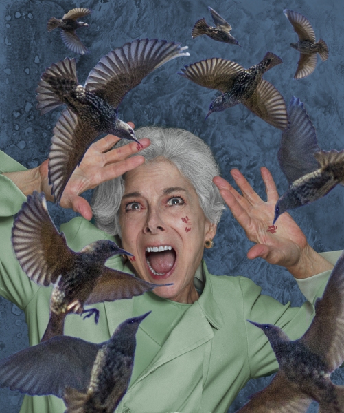 Betsy-the-Birds-Edit-Edit