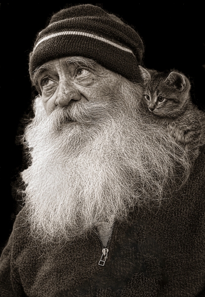 Reninger kitten-Edit6