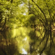 wading-river-1020307-edit-edit
