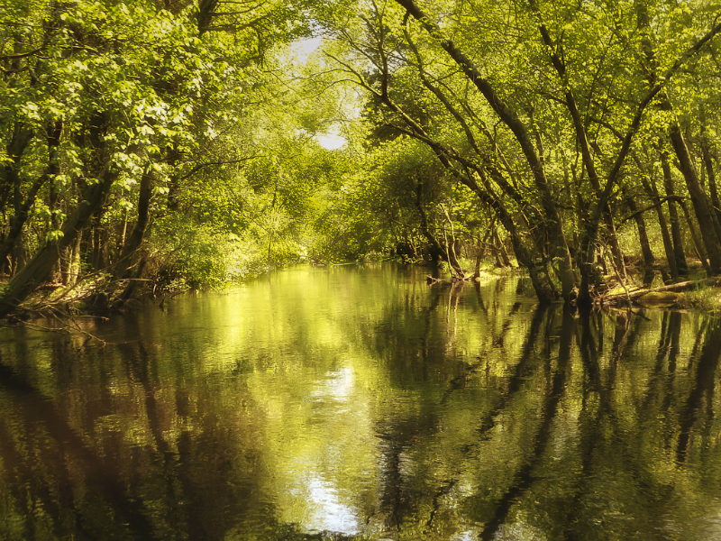 wading-river-1020307-edit-edit