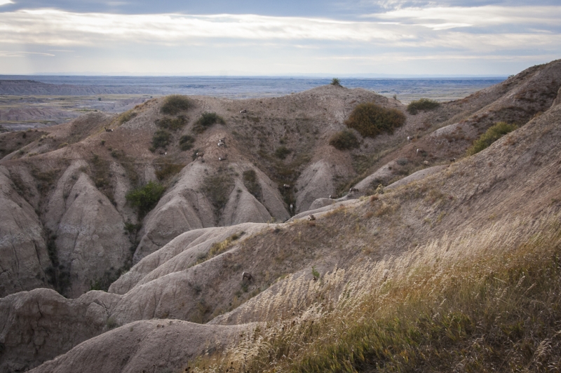South Dakota-7848