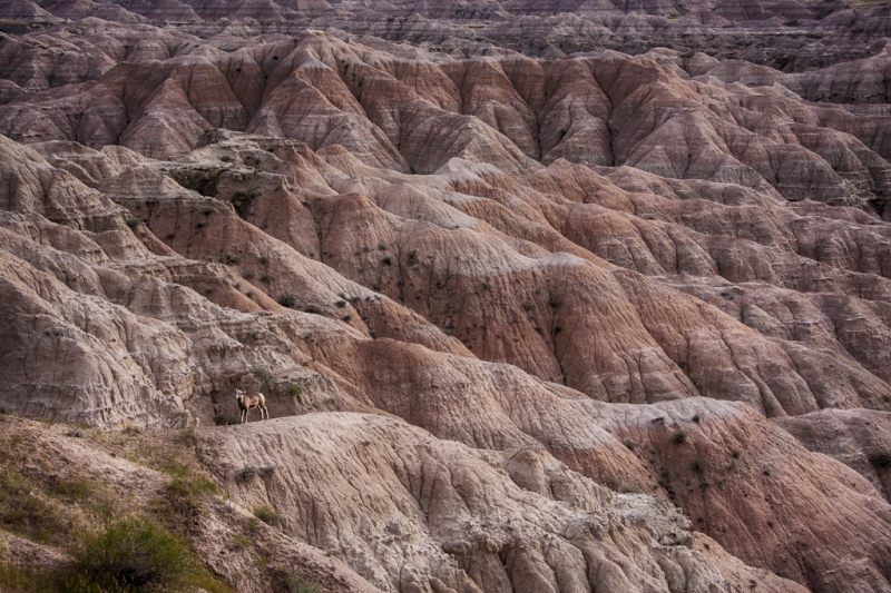 South Dakota-7899_HDR
