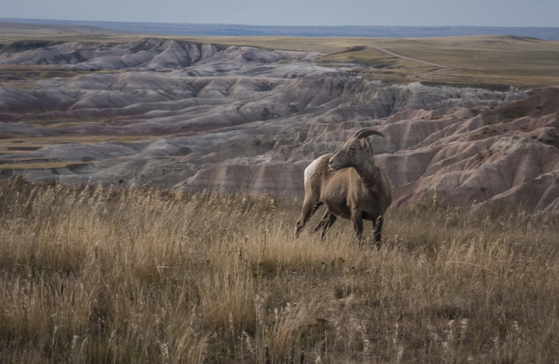South Dakota-7956-Edit