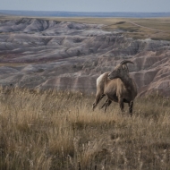 South Dakota-7956-Edit