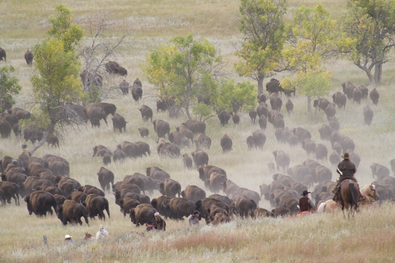 South Dakota-1130