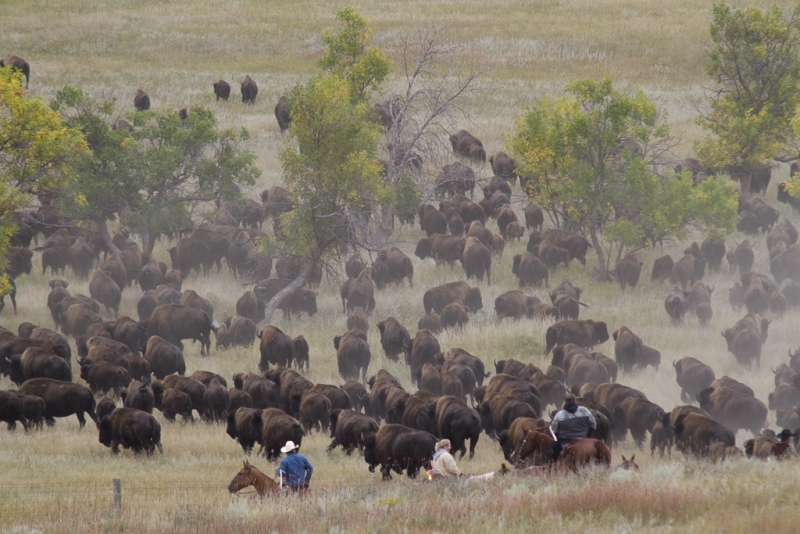 South Dakota-1132