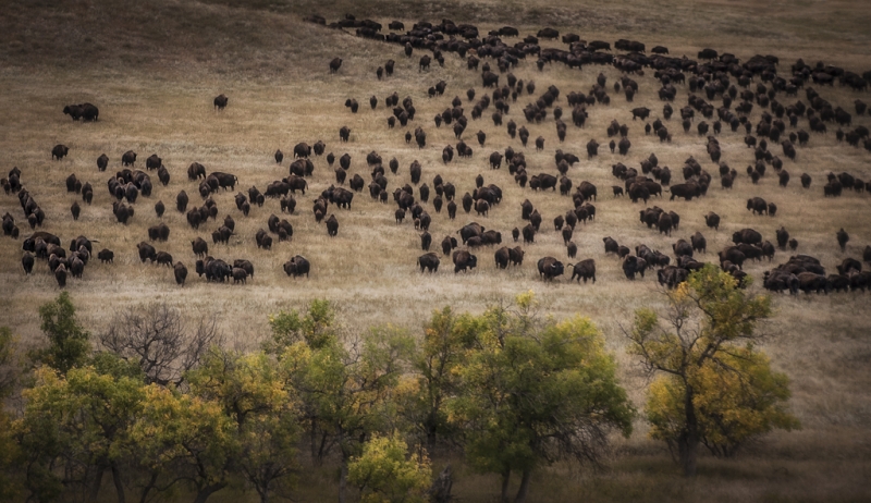 South Dakota-7048-Edit