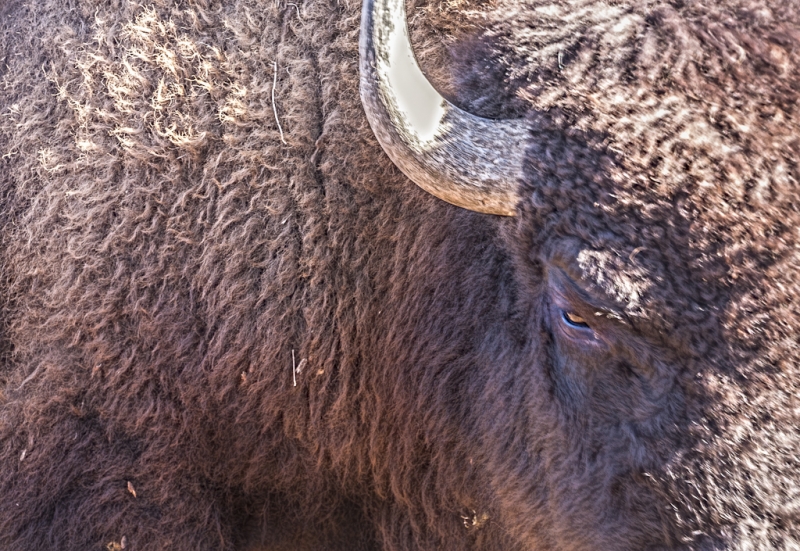 South Dakota-8668-Edit