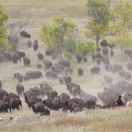 South Dakota-1130