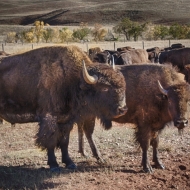 South Dakota-8610_HDR