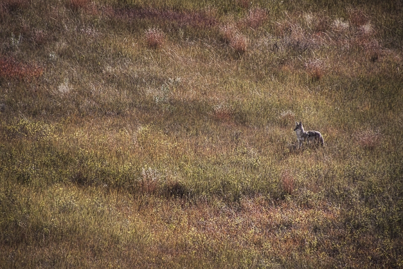 South Dakota-8671-Edit