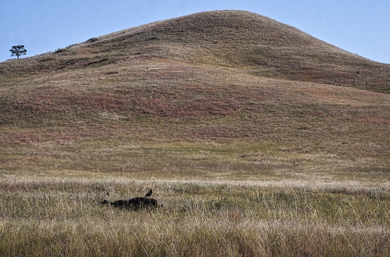 South Dakota-8674-Edit