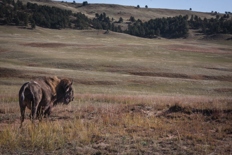 South Dakota-8678