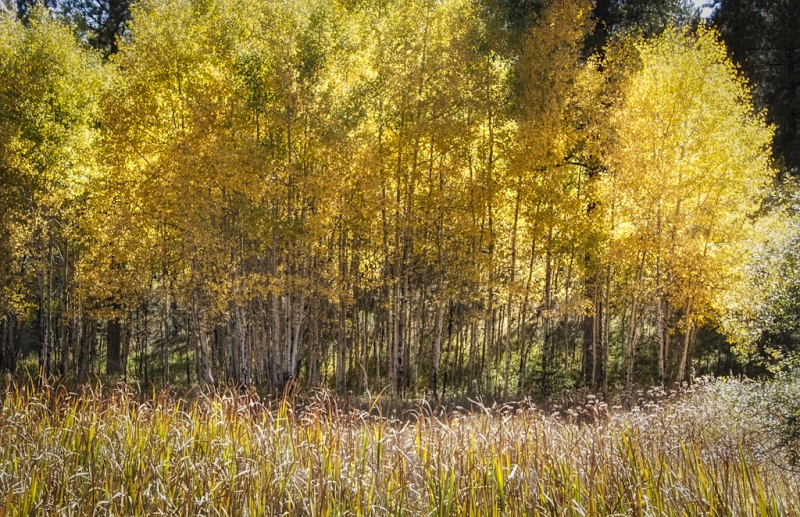 South Dakota-8741-Edit
