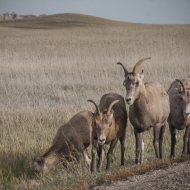 South Dakota-7830