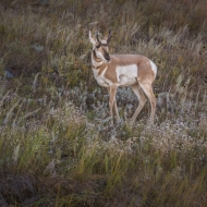 South Dakota-8451