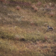 South Dakota-8671-Edit