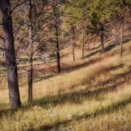 South Dakota-7282_HDR-Edit