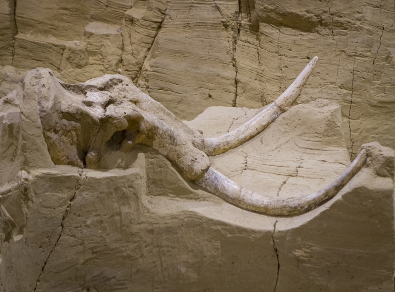 South Dakota-1074