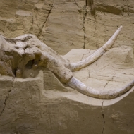 South Dakota-1074