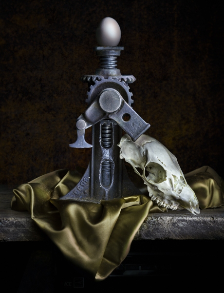 Deer-Skull-and-CarJack-184-Edit