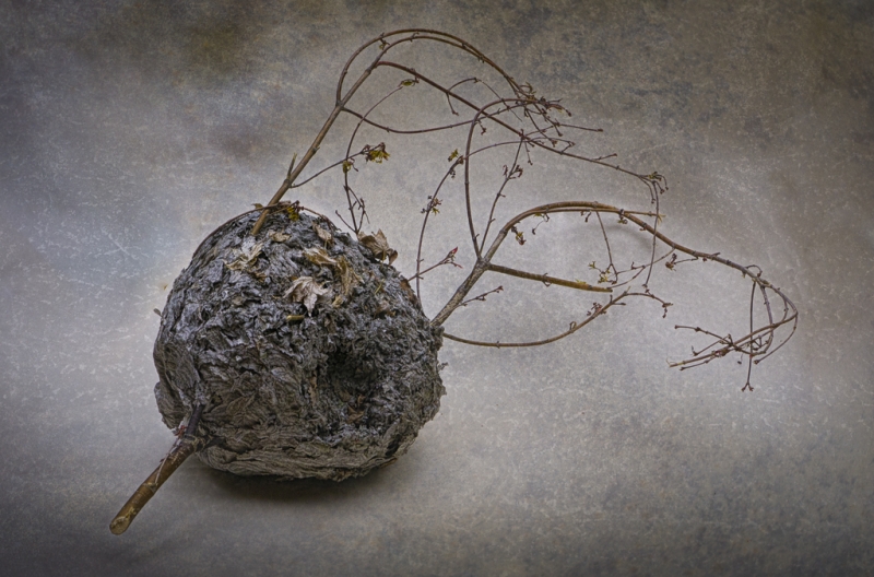 Hornet's nest-